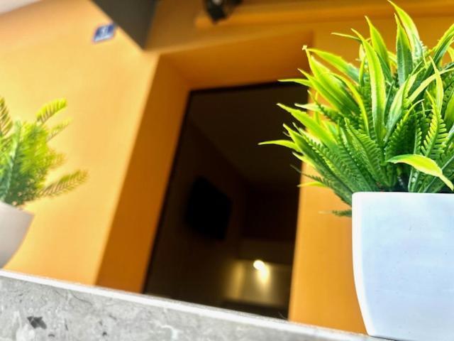 Residence Zar 8 Τεργέστη Εξωτερικό φωτογραφία