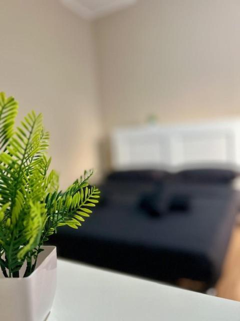 Residence Zar 8 Τεργέστη Εξωτερικό φωτογραφία